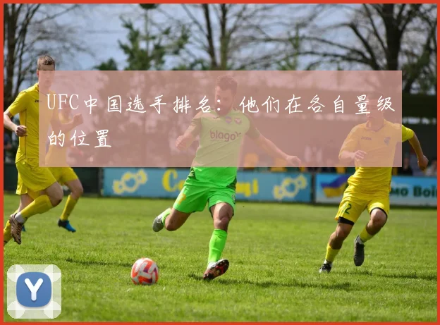 UFC中国选手排名：他们在各自量级的位置