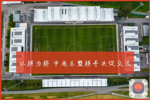以棋为桥 中老东盟棋手共促交流