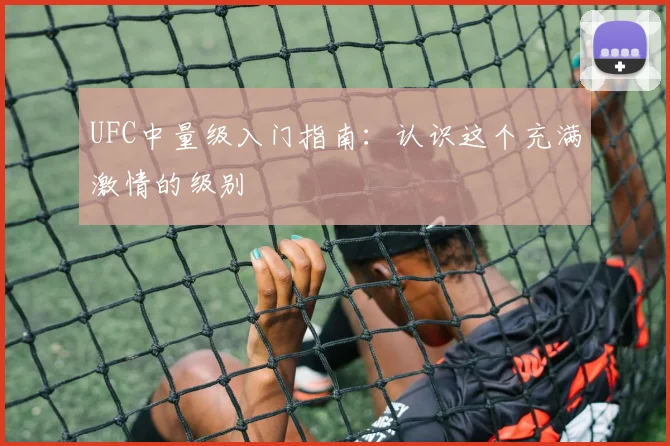 UFC中量级入门指南：认识这个充满激情的级别