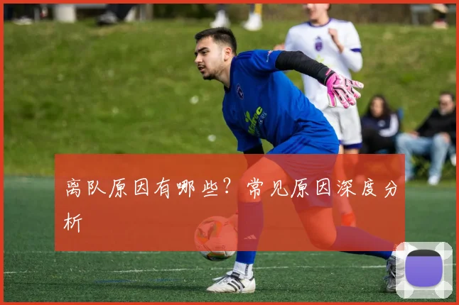 离队原因有哪些？常见原因深度分析
