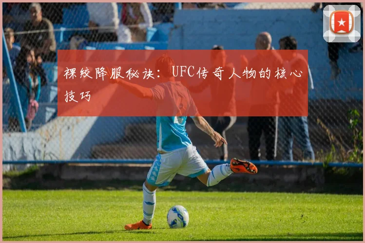 裸绞降服秘诀：UFC传奇人物的核心技巧