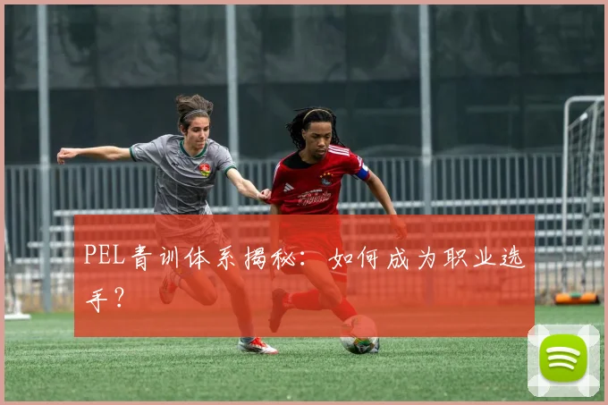 PEL青训体系揭秘：如何成为职业选手？