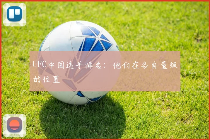 UFC中国选手排名：他们在各自量级的位置