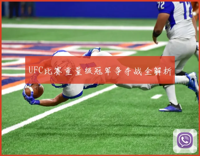 UFC比赛重量级冠军争夺战全解析