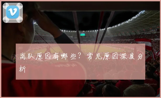 离队原因有哪些？常见原因深度分析