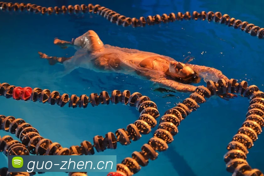 奖项图1